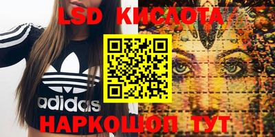 кокс Гатчина