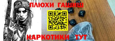 кокс Гатчина
