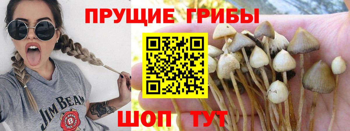 Галлюциногенные грибы мухоморы Новоалтайск