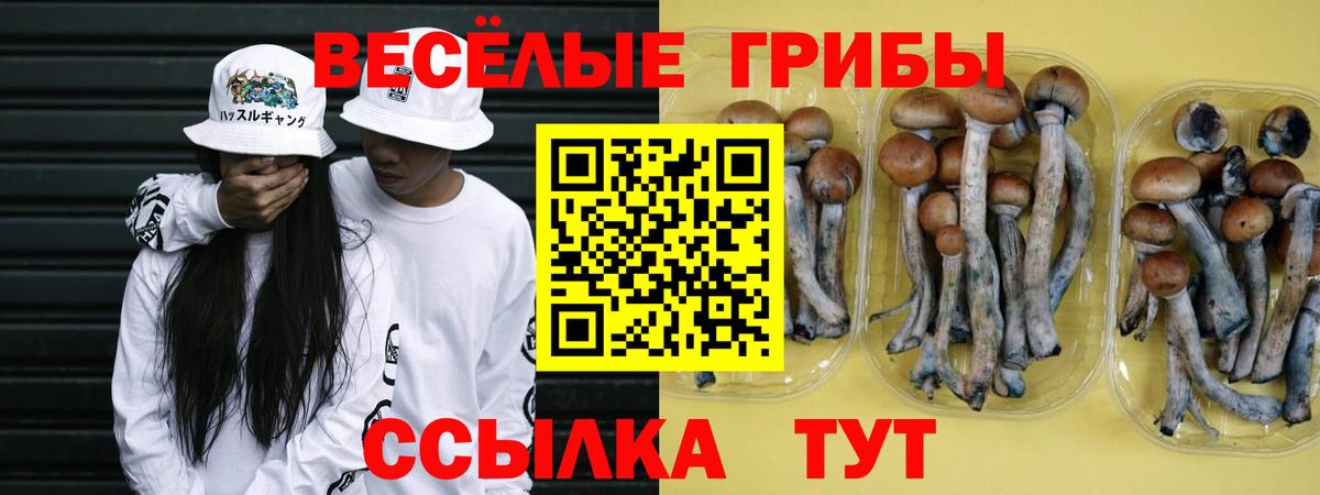наркошоп  Вход с VPN  Новоалтайск  Псилоцибиновые грибы прущие грибы  Галлюциногенные грибы Magic Shrooms 