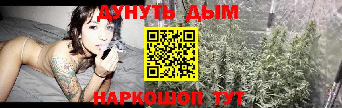 Шишки марихуана марихуана  Марихуана AK-47  Новоалтайск  Бошки марихуана план  Конопля сатива  Вход с VPN 